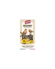 Tournesol pour oiseaux des jardins