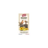 Tournesol pour oiseaux des jardins