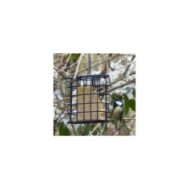 Mésange picorant un bloc de graisse sur une mangeoire métal (X.G. / Gerbeaud.com)