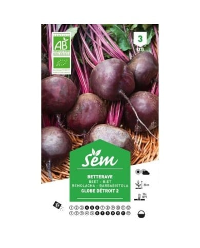 Betterave rouge Globe de Détroit 2 Bio (sachet)