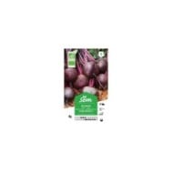 Betterave rouge Globe de Détroit 2 Bio (sachet)