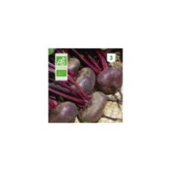 Betterave rouge plate d'Egypte Bio
