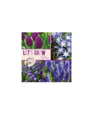 Let's Grow - Bleu - lot de 40 bulbes