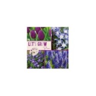 Let's Grow - Bleu - lot de 40 bulbes