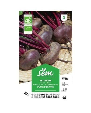 Betterave rouge plate d'Egypte Bio (sachet)