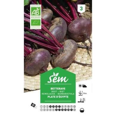 Betterave rouge plate d'Egypte Bio (sachet)