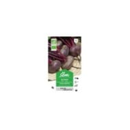 Betterave rouge plate d'Egypte Bio (sachet)