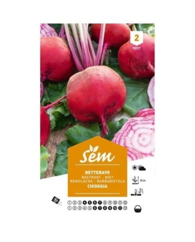 Betterave Chioggia (sachet)