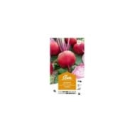 Betterave Chioggia (sachet)