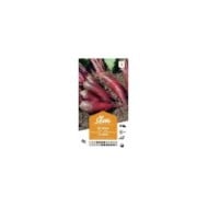 Betterave Cylindra (sachet)