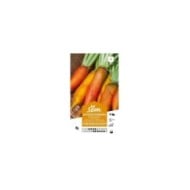 Betterave fourragère Jaune de Vauriac (sachet)