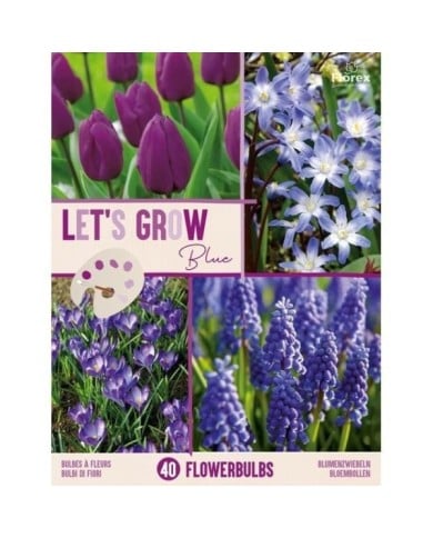 Let's Grow - Bleu - lot de 40 bulbes
