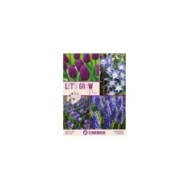 Let's Grow - Bleu - lot de 40 bulbes