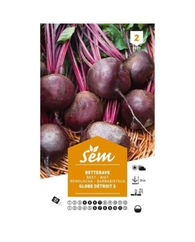 Betterave Globe de Détroit (Laura) (sachet)