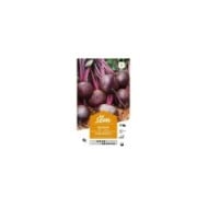 Betterave Globe de Détroit (Laura) (sachet)