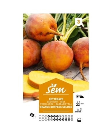Betterave orange Burpees Golden (sachet)