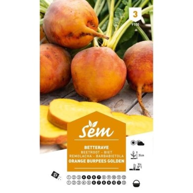 Betterave orange Burpees Golden (sachet)