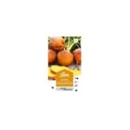 Betterave orange Burpees Golden (sachet)