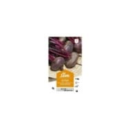 Betterave plate d'Egypte (sachet)