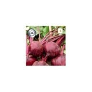 Betterave rouge Pablo F1