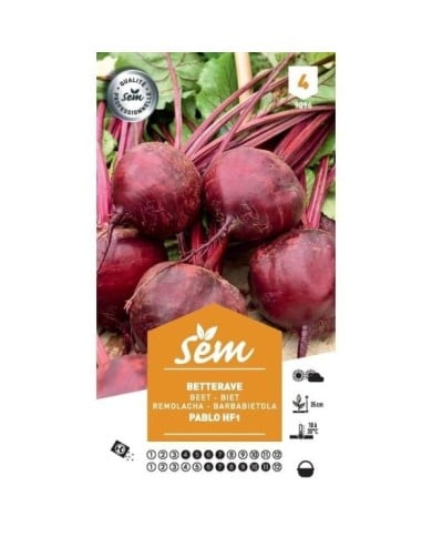 Betterave rouge Pablo F1 (sachet)