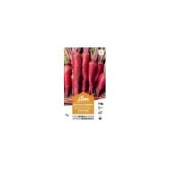 Betterave fourragère géant rouge XXL (sachet)