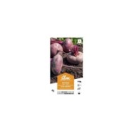 Betterave plate d'Egypte XXL (sachet)