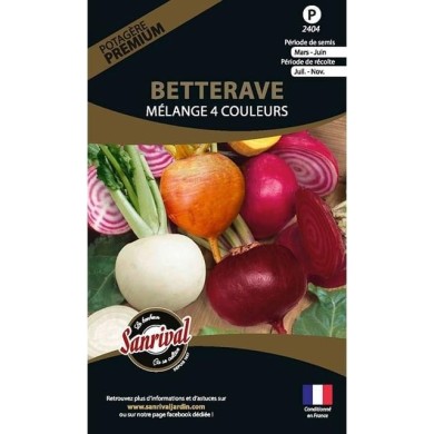 Betterave mixte 4 couleurs (sachet)