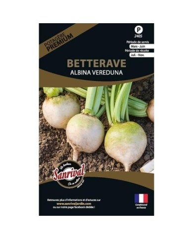 Betterave Albina Vereduna (sachet)