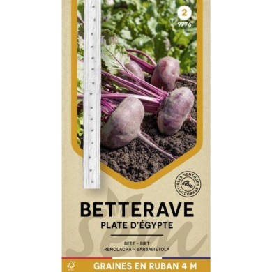 Betterave Plate d'Egypte en ruban