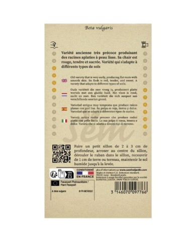 Betterave Plate d'Egypte en ruban