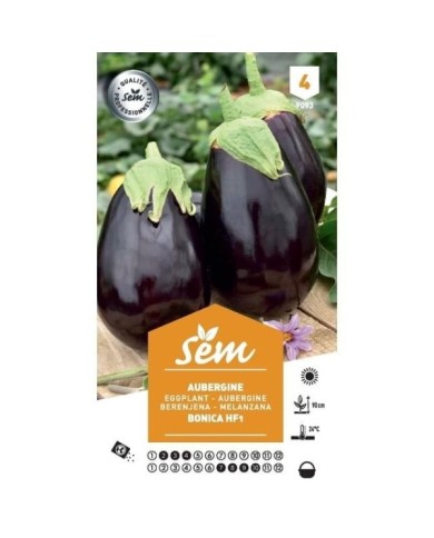 Aubergine bonica hf1 (sachet)