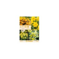 Let's Grow - Jaune - lot de 40 bulbes