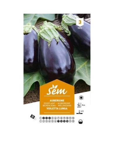Aubergine Violetta Lunga (sachet)