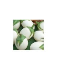 Aubergine blanche ronde a oeuf (ancienne)