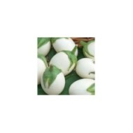 Aubergine blanche ronde a oeuf (ancienne)