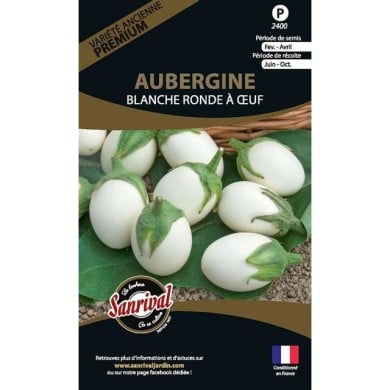 Aubergine blanche ronde a oeuf (ancienne) (sachet)