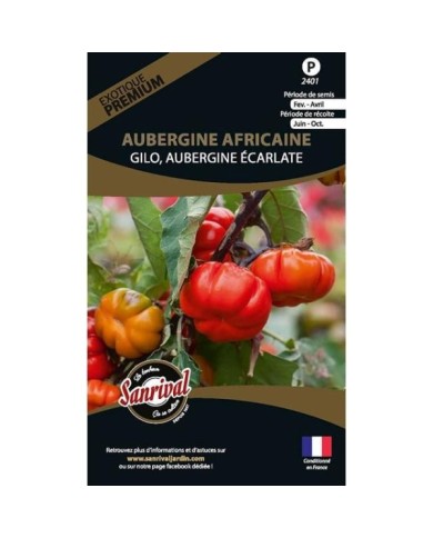 Aubergine n’goyo ou gilo (solanum aethiopicum) (sachet)