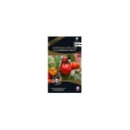 Aubergine n’goyo ou gilo (solanum aethiopicum) (sachet)
