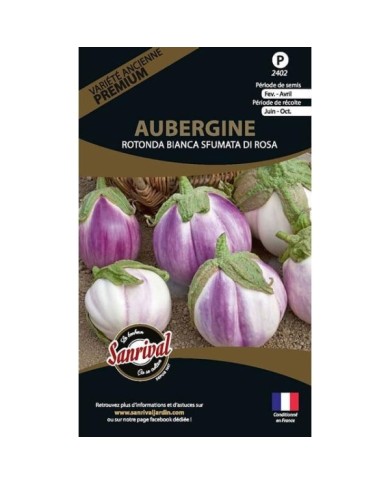 Aubergine ronde bianca sfumata di rosa (sachet)
