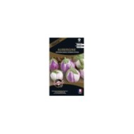 Aubergine ronde bianca sfumata di rosa (sachet)