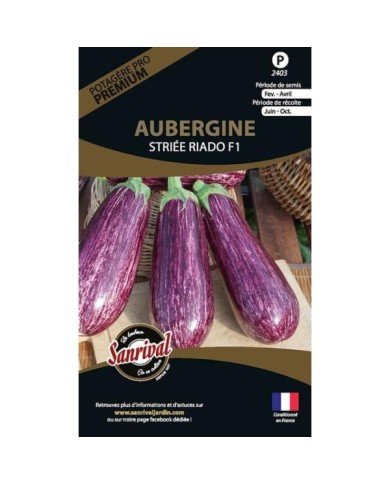 Aubergine striée riado f1 (sachet)