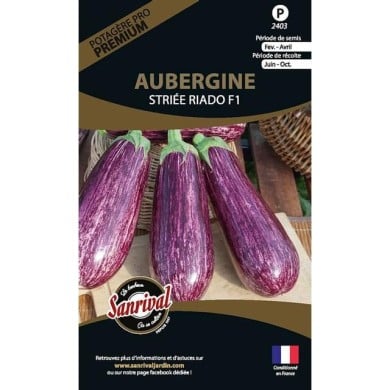Aubergine striée riado f1 (sachet)