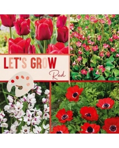 Let's Grow - Rouge - lot de 40 bulbes