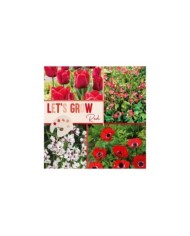 Let's Grow - Rouge - lot de 40 bulbes