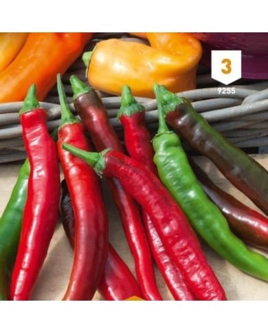 Piment fort de Cayenne