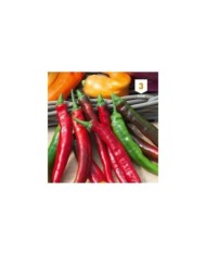 Piment fort de Cayenne