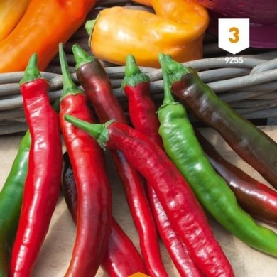 Piment fort de Cayenne
