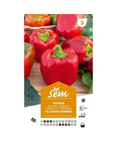 Poivron california wonder (sachet)