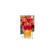 Poivron california wonder (sachet)